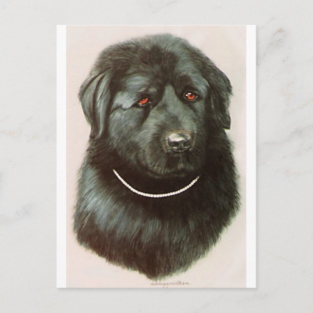 Carte Postale Maximillian (Devant)