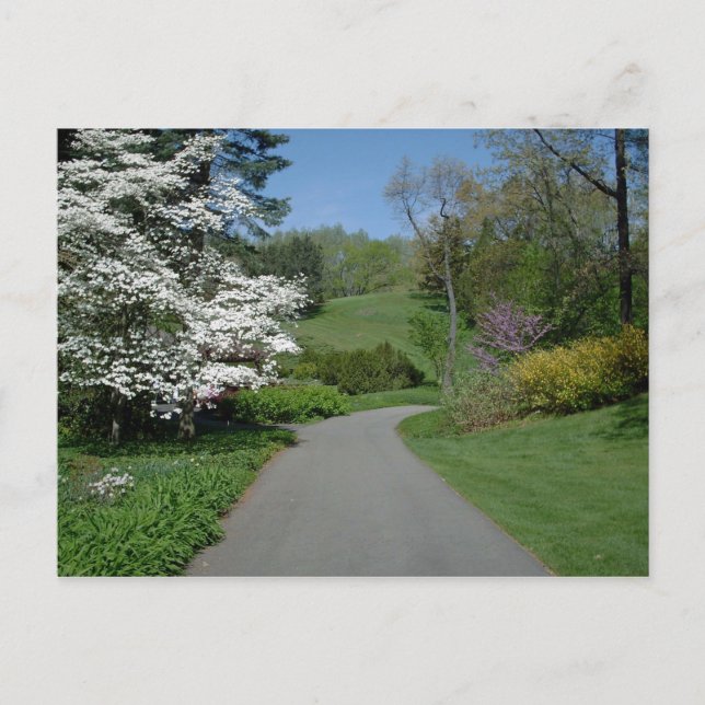 Carte Postale May Flowers (Devant)