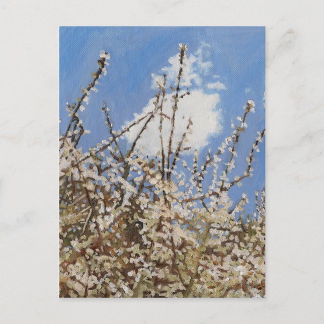 Carte Postale Mayflower 2012 (Devant)