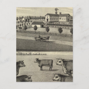 Carte Postale McDonald Farm, Nebraska