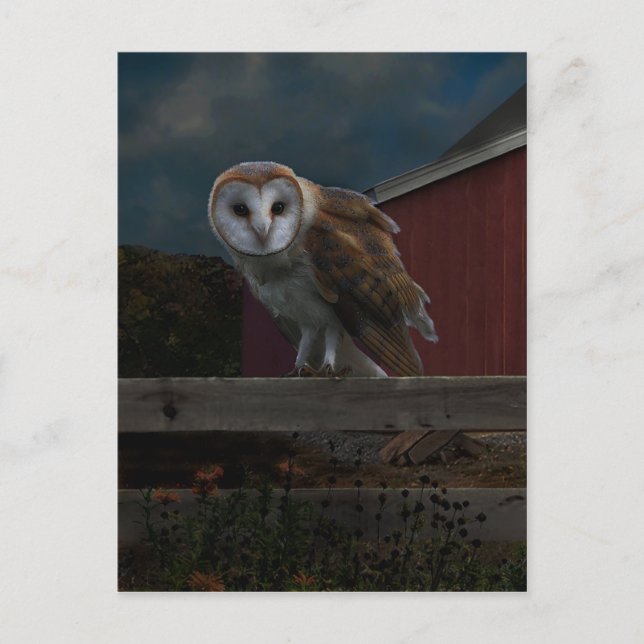 Carte postale "McHoots the Watch Owl" (Devant)