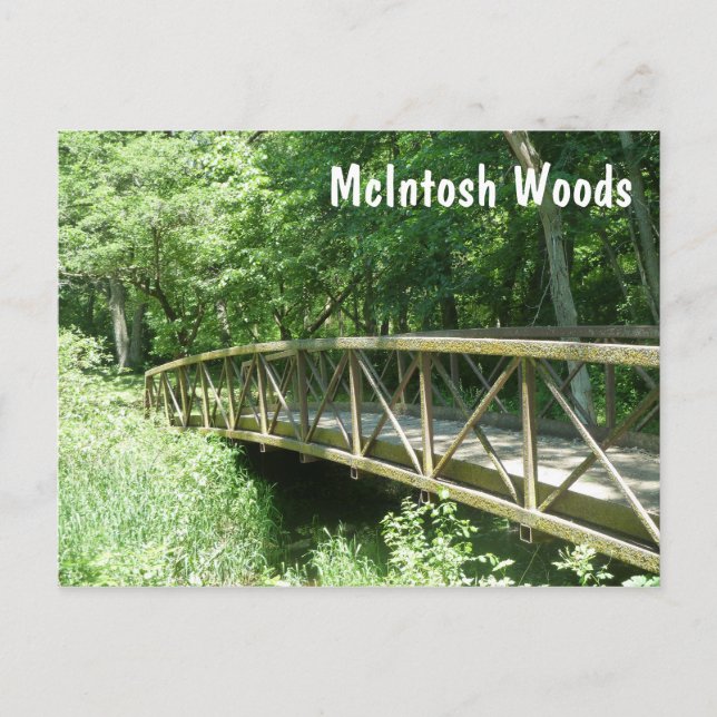 Carte Postale McIntosh Woods State Park, Iowa (Devant)