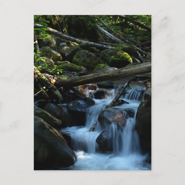 Carte Postale McPhee Creek, Castlegar (Colombie-Britannique) (Devant)