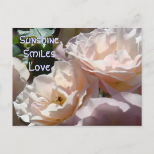 Carte postale Me rappelait toi ! Fleurs de rose ro