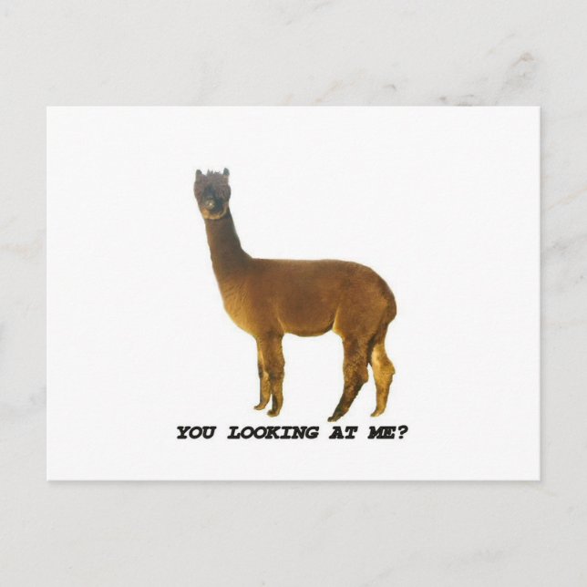 Carte Postale Me regardez-vous ? (Devant)