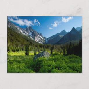 Carte Postale Meadow et Mt. Stuart