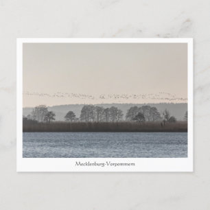 Carte Postale Mecklenburg-Vorpommern