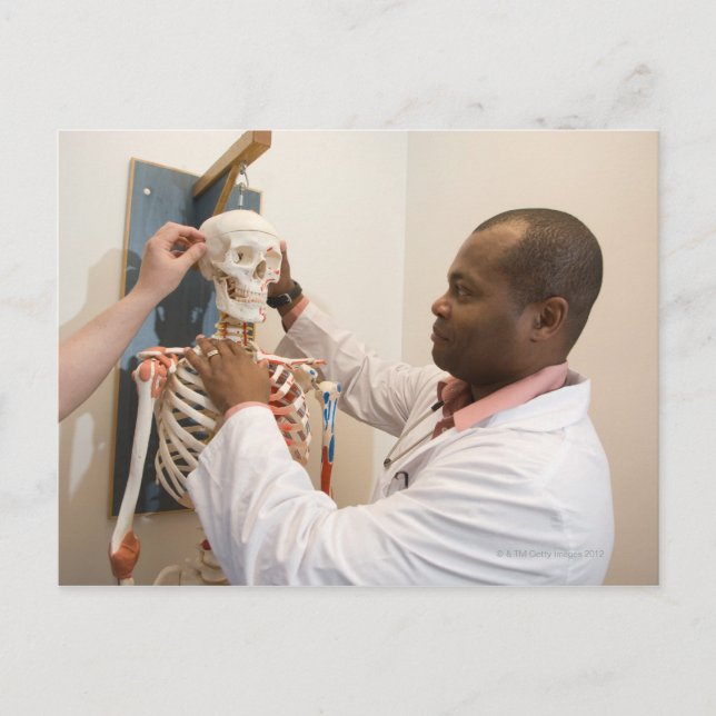 Carte Postale Médecins étudiants étudiant anatomie sur un squele (Devant)