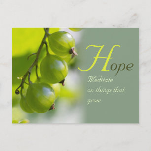 Carte Postale Méditation sur les choses qui poussent CC0330