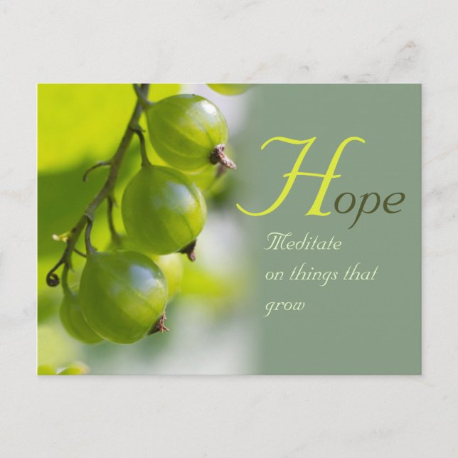 Carte Postale Méditation sur les choses qui poussent CC0330 (Devant)