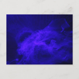 Carte Postale Méduse de lune # 12