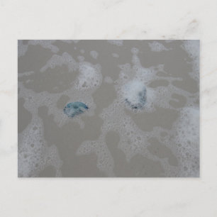 Carte Postale Méduses en photographie de plage de surf océanique