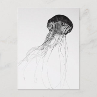 Carte Postale Méduses gracieuses