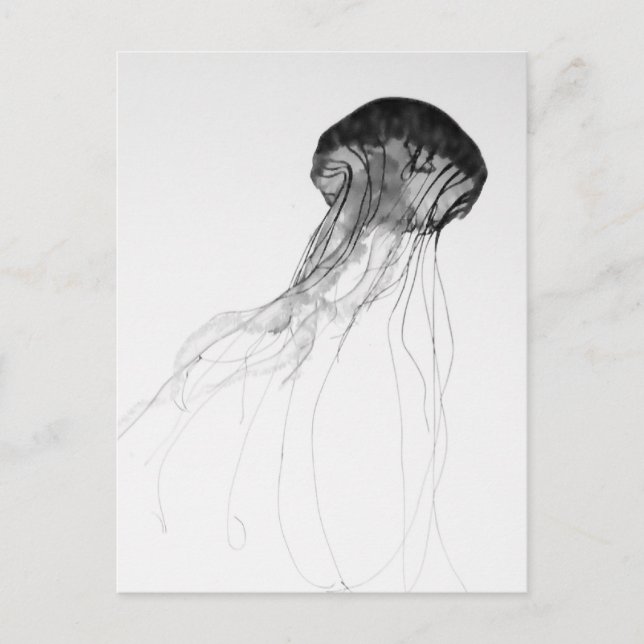 Carte Postale Méduses gracieuses (Devant)