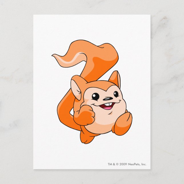 Carte Postale Meerca Orange (Devant)