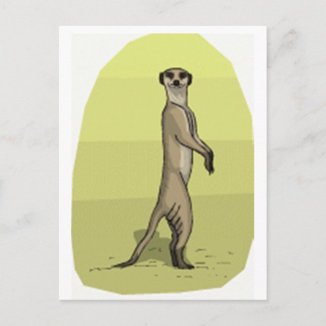 CARTE POSTALE MEERKAT (Devant)