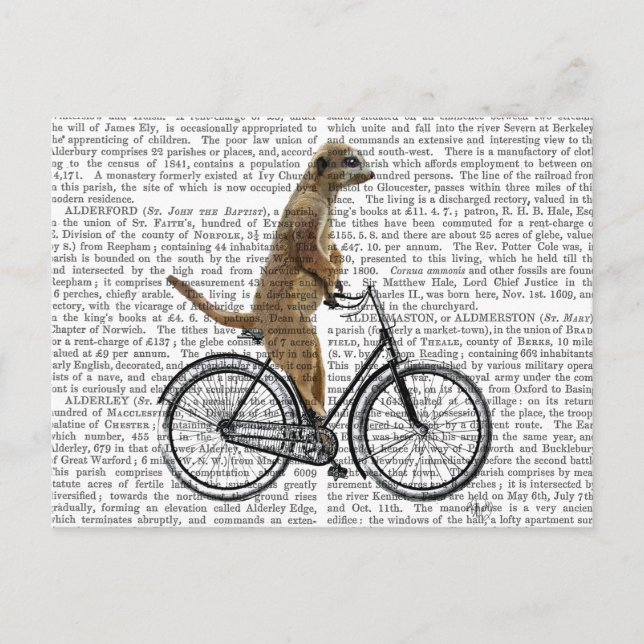 Carte Postale Meerkat à vélo (Devant)