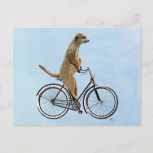 Carte Postale Meerkat à vélo 2