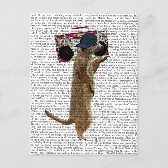 Carte Postale Meerkat avec Boom Box Ghetto Blaster 2 (Devant)