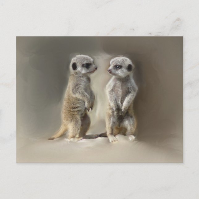 Carte Postale Meerkat bébé jumeaux (Devant)