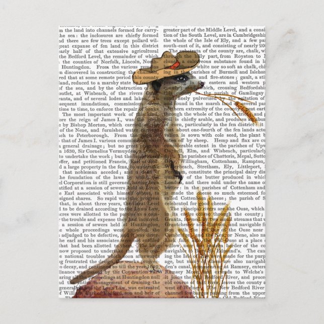 Carte Postale Meerkat Cowboy (Devant)