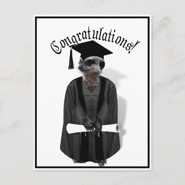 Carte Postale Meerkat Graduate avec gris et noir (Devant)