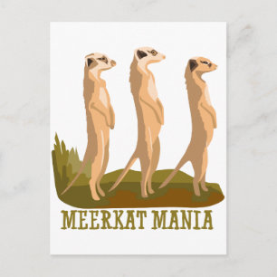 Carte Postale Meerkat Mania