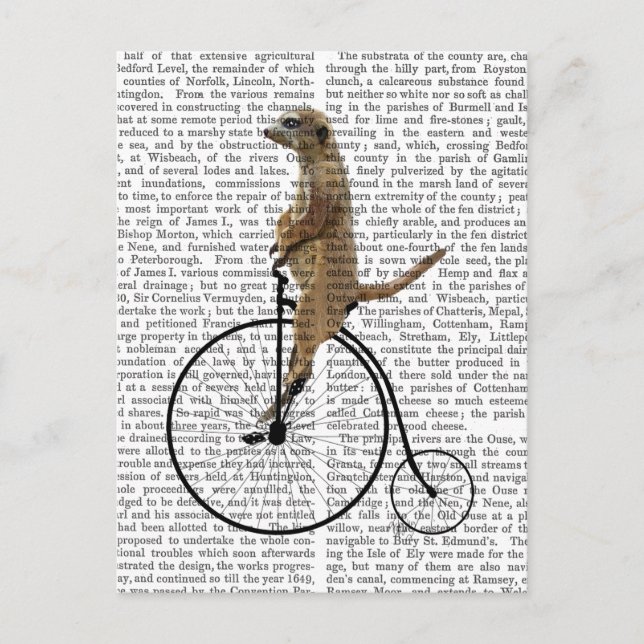 Carte Postale Meerkat sur Black Penny Farthing (Devant)