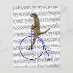 Carte Postale Meerkat Sur Blue Penny Farthing