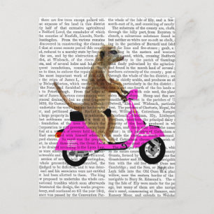 Carte Postale Meerkat sur Pink Moped