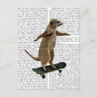 Meerkat Sur Skateboard 2