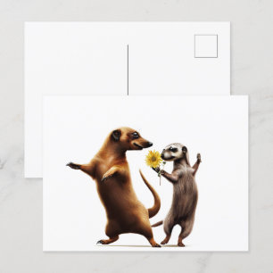 Carte Postale Meerkats dansants
