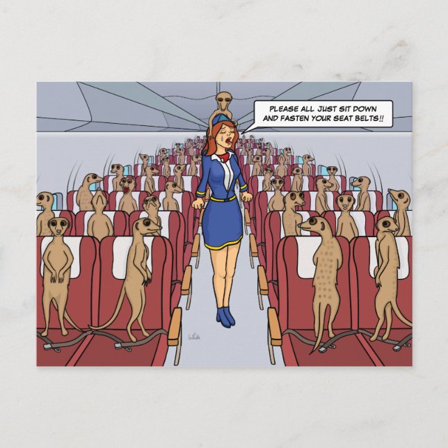 Carte Postale Meerkats on a Plane Postcard (Devant)