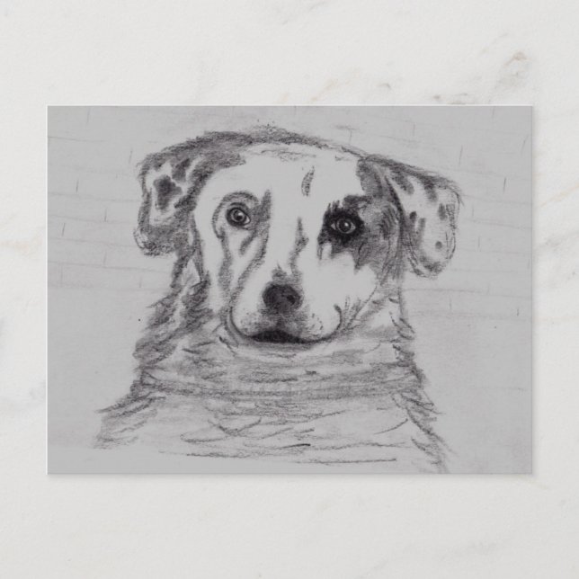 Carte Postale Meilleur ami (Devant)