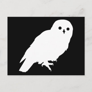 Carte Postale Meilleur prix White Barn Owl Graphic