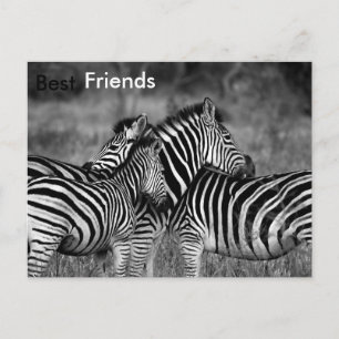 Carte Postale Meilleurs amis
