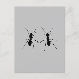 Carte Postale Meilleurs amis. Ant Couple