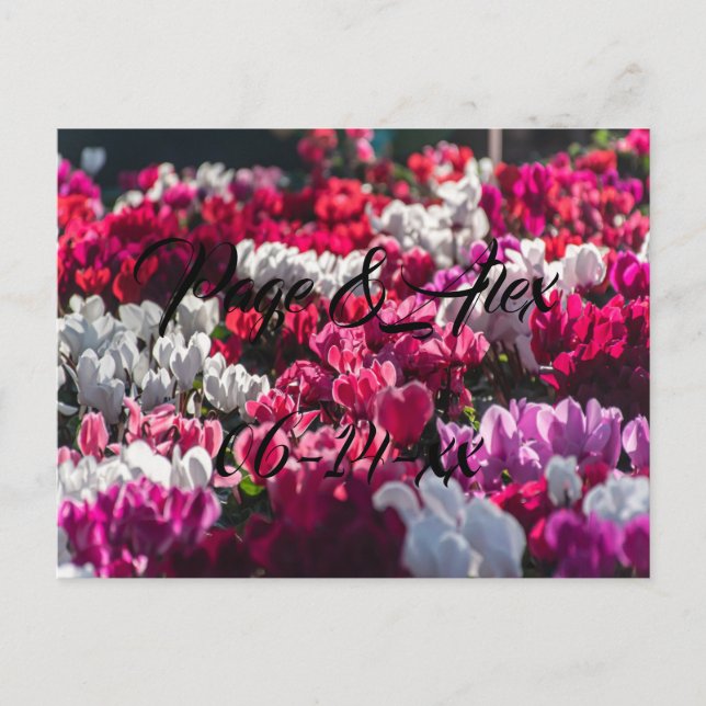 Carte Postale Meilleurs voeux Nouvelles mauvaises herbes Mariage (Devant)