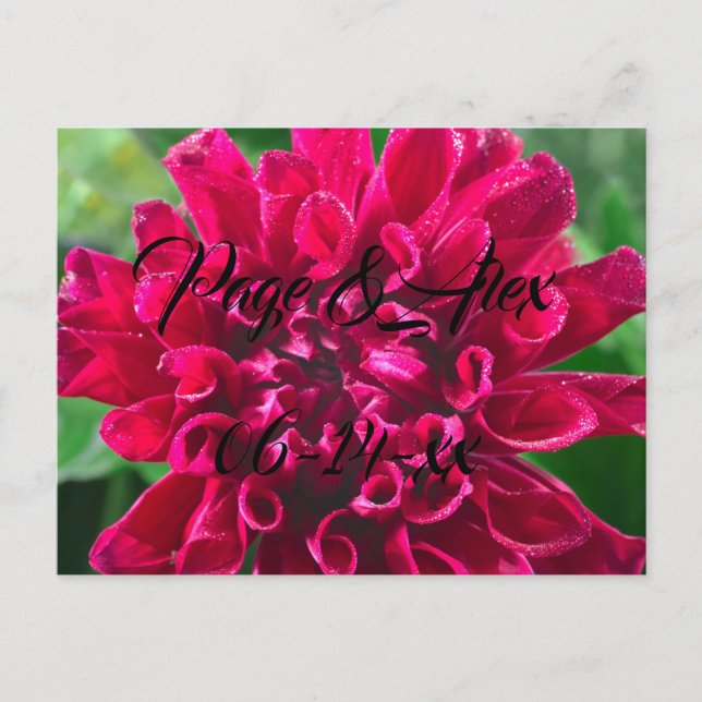 Carte Postale Meilleurs voeux Nouvelles mauvaises herbes Mariage (Devant)