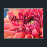 Carte Postale Meilleurs voeux Nouvelles mauvaises herbes Mariage<br><div class="desc">Destinée</div>