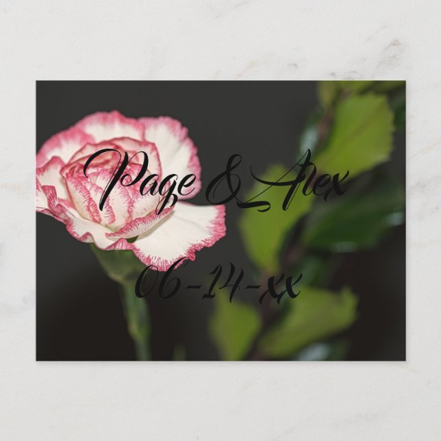 Carte Postale Meilleurs voeux Nouvelles mauvaises herbes Mariage (Devant)