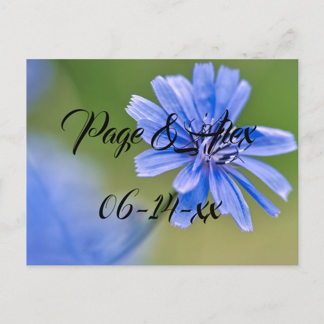 Carte Postale Meilleurs voeux Nouvelles mauvaises herbes Mariage (Devant)