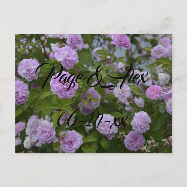 Carte Postale Meilleurs voeux Nouvelles mauvaises herbes Mariage (Devant)