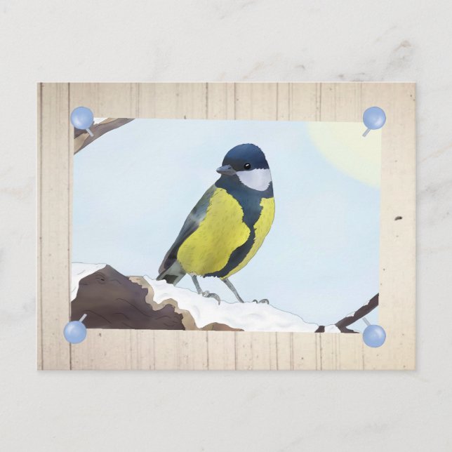 Carte Postale Meise en hiver (Devant)