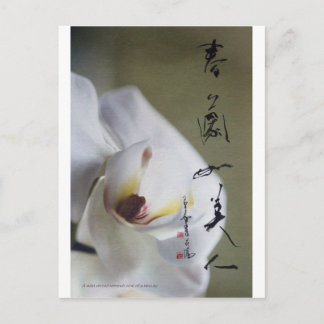 carte postale meitokai 4