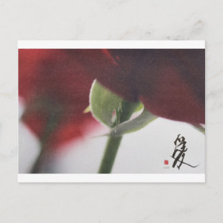 carte postale meitokai 7