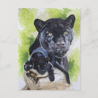 Carte Postale Mélancolie