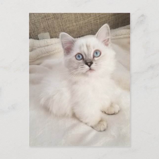 Carte Postale Mélodie (Devant)