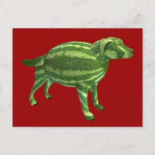 Carte Postale Melon Dog
