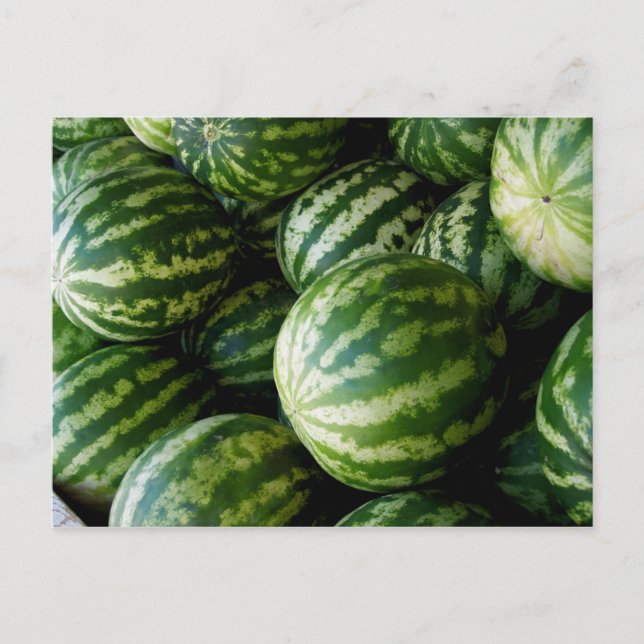 Carte Postale Melons (Devant)